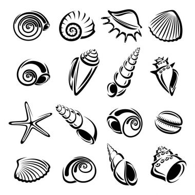deniz kabuklarını ayarlayın. vektör