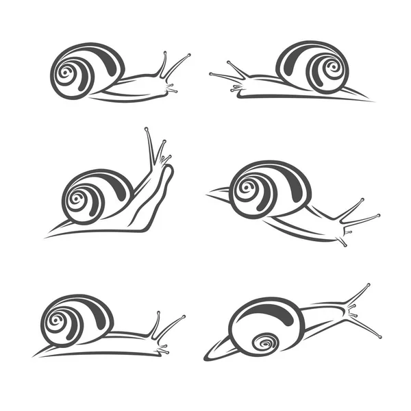 Ensemble escargot. Vecteur — Image vectorielle