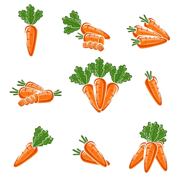 Carrot Set Vector Collection Carrot Set Edit Size Color Vector — Stock Vector