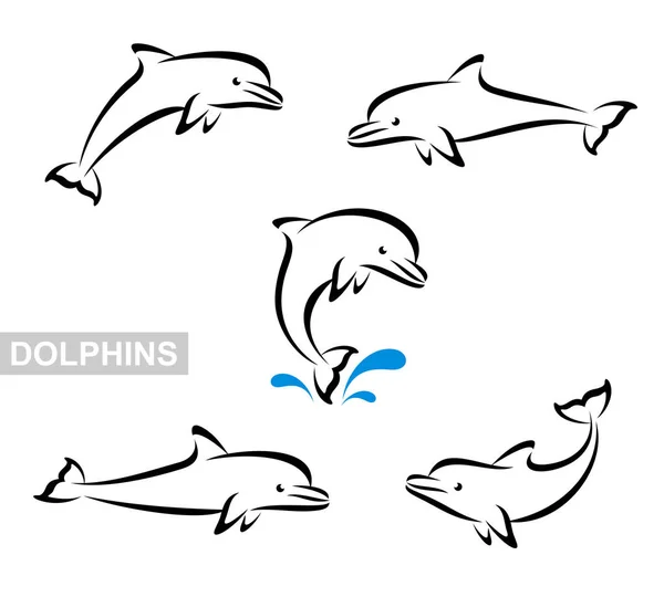Zestaw Delfiny Wektor Delfiny Kolekcji Ustawić Edytować Rozmiar Kolor Wektor — Wektor stockowy