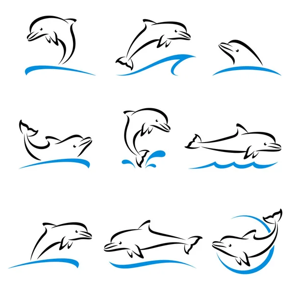 Dolphins Set Vector Collection Dolphins Set Edit Size Color Vector — Stock Vector