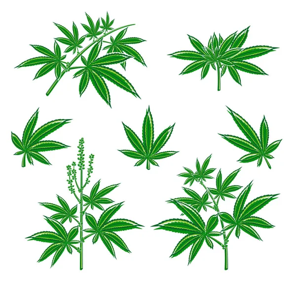 Cannabis Marihuana Set Vector — Stockvector