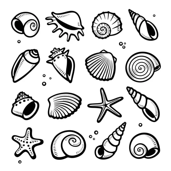 Seashells Ustawione Kolekcja Muszli Ikony Wektor — Wektor stockowy