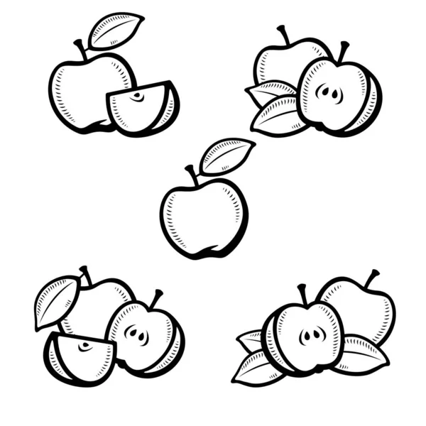 Conjunto Manzana Iconos Colección Manzana Vector — Archivo Imágenes Vectoriales