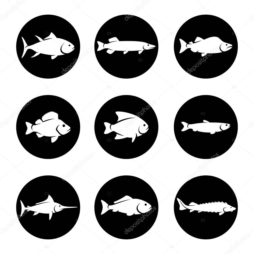 Fish set. Collection icon fish. Vector