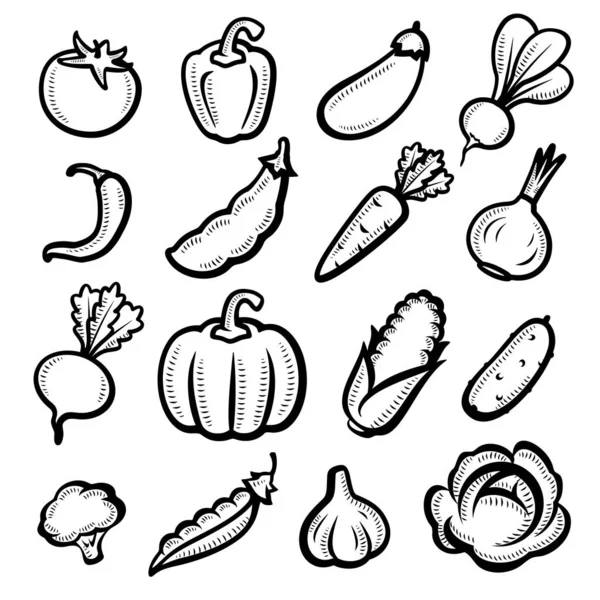 Collection Vegetables Set Vector Illustration — Stock Vector