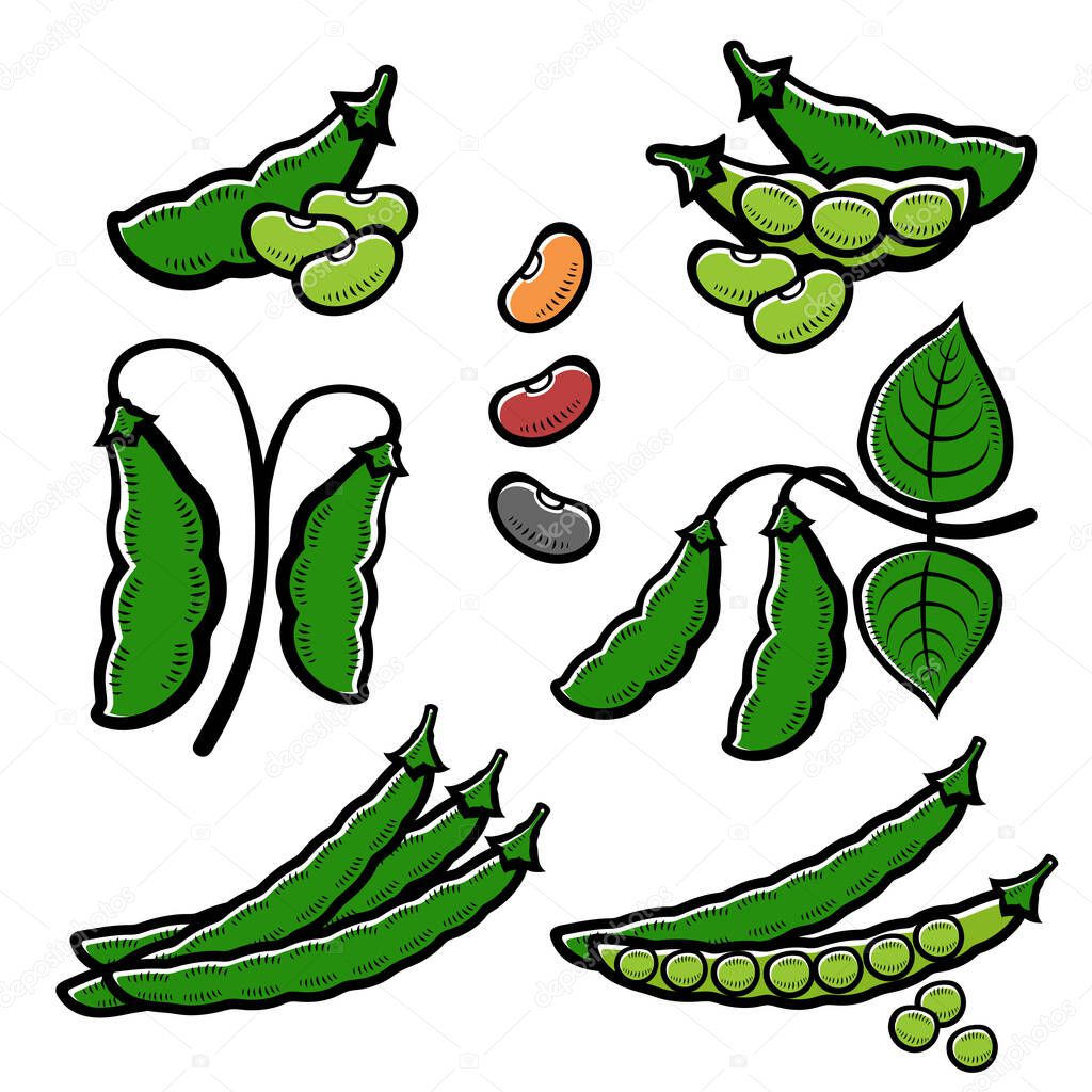 Beans set. Collection icon beans. Vector