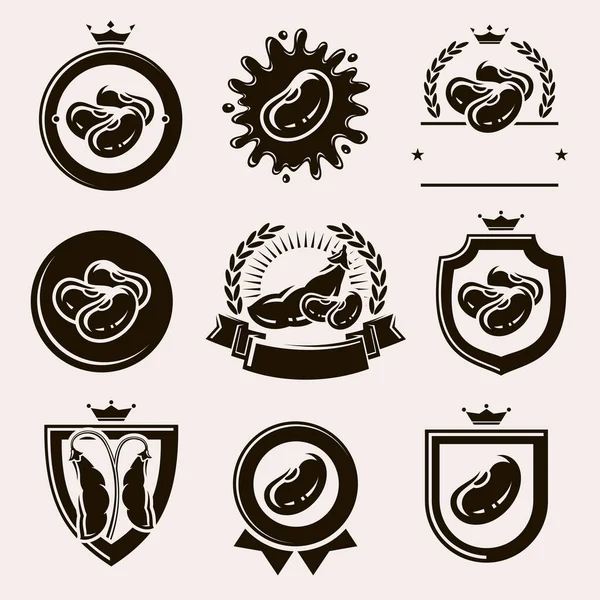 Set Etiquetas Elementos Frijoles Icono Colección Frijoles Vector — Vector de stock