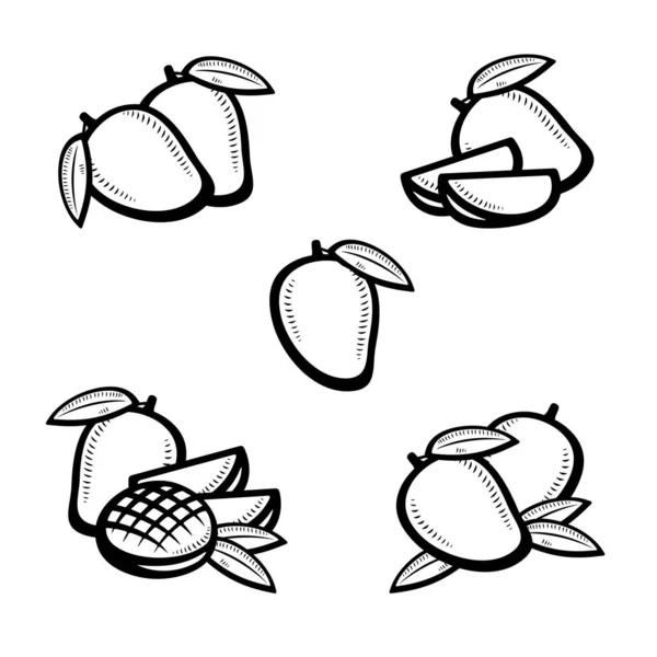芒果集合 收集图标芒果 — 图库矢量图片