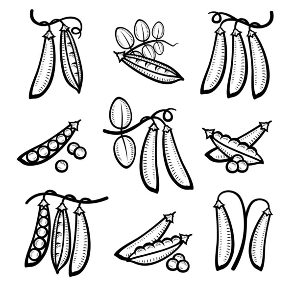 豌豆设置 收集图标豌豆 — 图库矢量图片