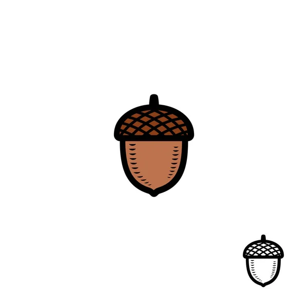 Acorns Set Colecție Ghinde Pictogramă Vector — Vector de stoc