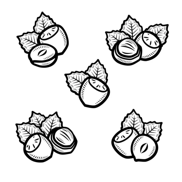 Set Nocciole Collezione Icona Nocciole Vettore — Vettoriale Stock
