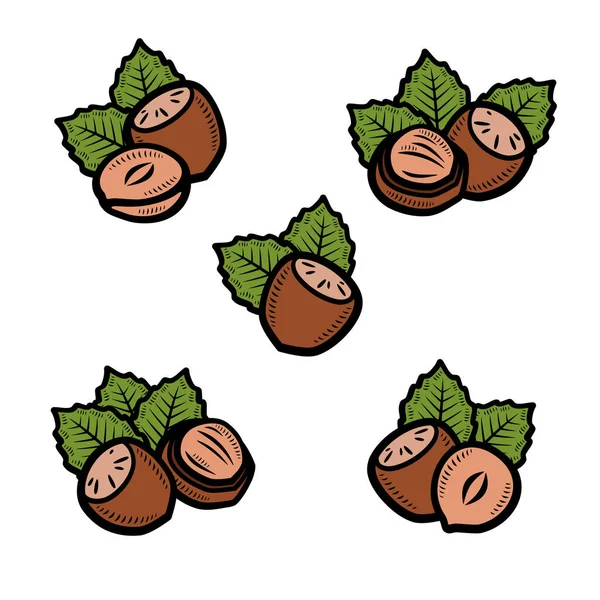 Hazelnut Nuts Set Collection Icon Hazelnut Nuts Vector — Stock Vector