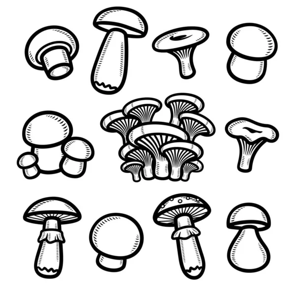 Mushrooms Set Collection Icon Mushroom Vector — Stock Vector