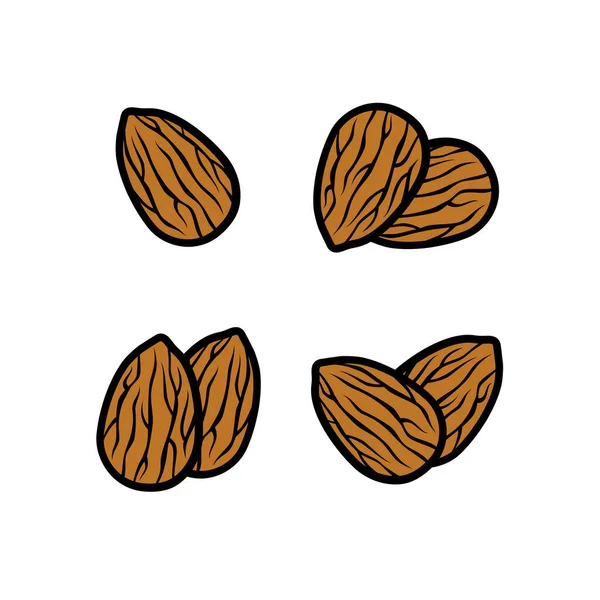 Conjunto Almendras Icono Colección Almendra Vector — Vector de stock