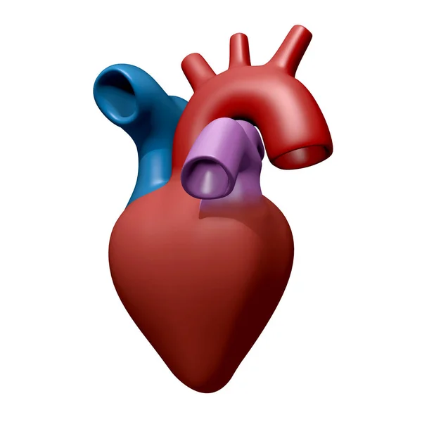 Rajzfilm emberi szív fehér háttér, 3D-s illusztráció — Stock Fotó