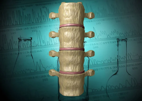 Vedere din spate a coloanei vertebrale umane pe fundal cu tema științei, redare 3D — Fotografie, imagine de stoc