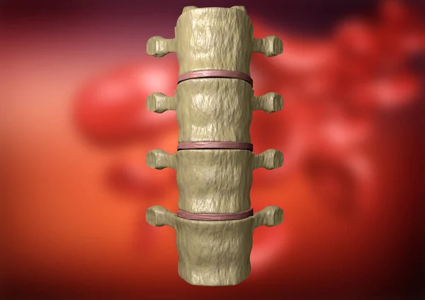 Vista posterior de la columna vertebral humana en el fondo con el tema de la ciencia, representación 3D — Foto de Stock