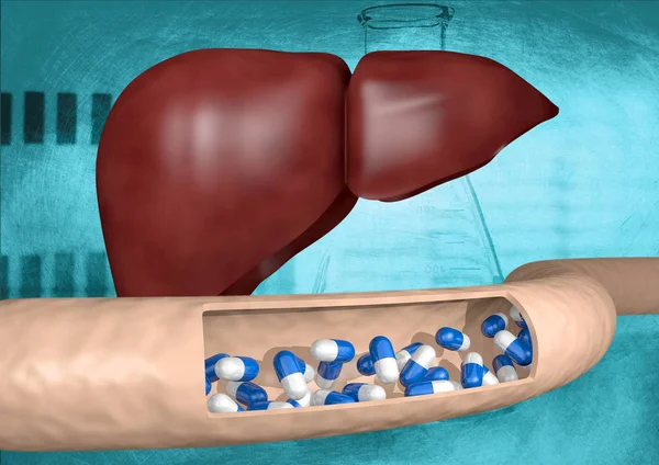 Artery taking medications for the liver, 3D rendering