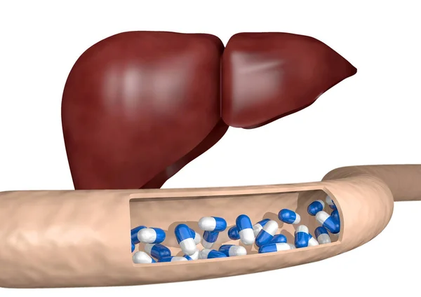 Corte la arteria tomando medicamentos para el hígado, renderizado 3D — Foto de Stock