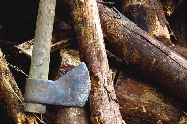 arka planda kesme ağaçlar balta yerleştirilen