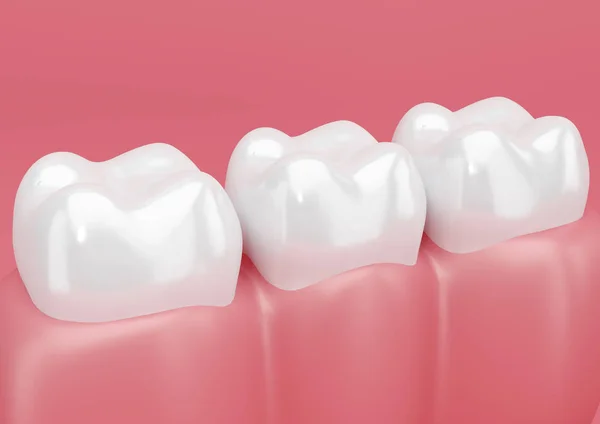 Closeup illustration of gums and teeth, 3D rendering