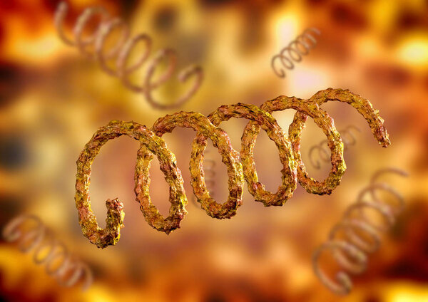 Syphilis is caused by Treponema pallidum, a species of spiral-shaped bacteria. Isolated over blurred organic background