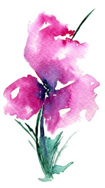 Bahar çiçeği suluboya çizimi, tebrik kartı, hediye kutusu, ambalaj kâğıdı şablonu, kumaş baskı tasarımı için el çizimi izole element