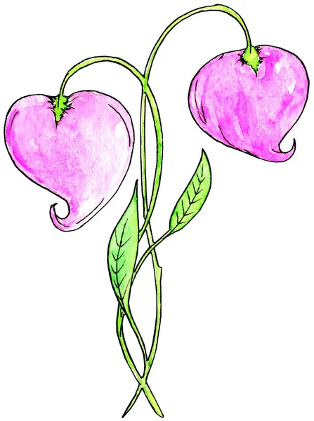 Suluboya Grafiklerle Çiçek Kalpler Illüstrasyonu Düğün Dekorasyonu Için Şirin Tasarım — Stok fotoğraf