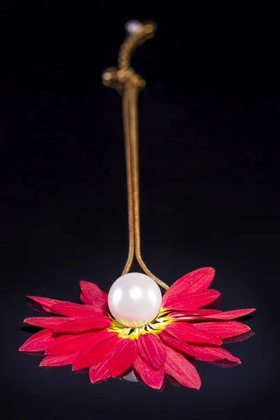 White pearls necklace over red petals on black — Stock Photo, Image