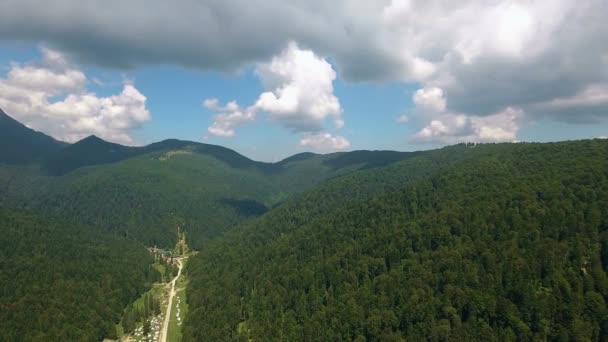 Flying over the beautiful forest in mountains 3 — Stock Video