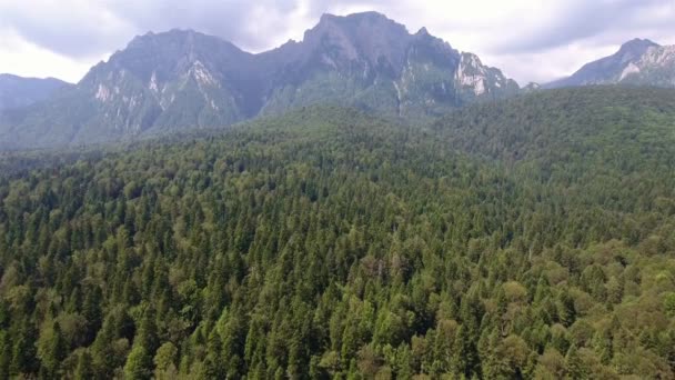 Volando sobre el hermoso bosque en las montañas 1 — Vídeo de stock