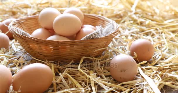 Fresh organic eggs in a basket — Stock Video