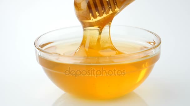 Honey pouring from drizzler into the bowl — Stock Video