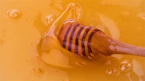 Dripping honey in slow motion — Stock Video