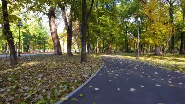 Aerial videomateriaalia syksyn luonto maisemia kaupungin puistossa — kuvapankkivideo
