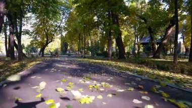 Sonbahar doğa manzara Şehir Parkı içinde hava görüntüleri