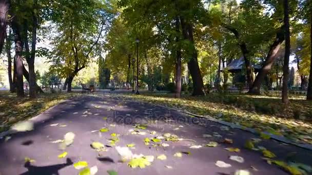 Luftaufnahmen von herbstlicher Naturkulisse im Stadtpark — Stockvideo