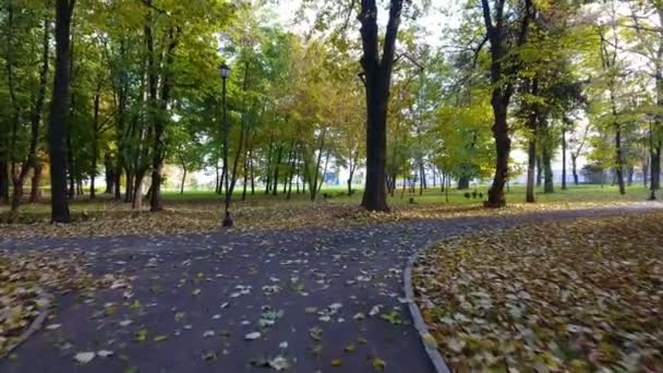 在城市公园的秋天的自然风光的空中镜头 — 图库视频影像