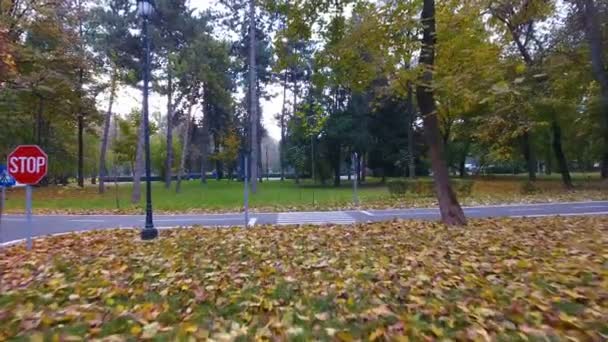 Images aériennes des panneaux routiers pour les cyclistes dans le parc d'automne — Video