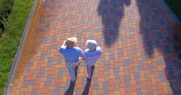 Imágenes aéreas de pareja mayor caminando al aire libre en el parque — Vídeo de stock