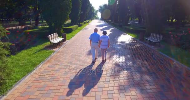 Luchtfoto beelden van senior paar wandelen buiten in park — Stockvideo