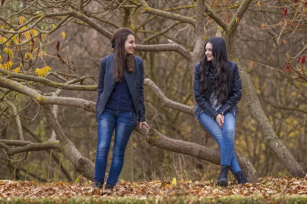 Две девушки веселятся в осеннем парке — стоковое фото