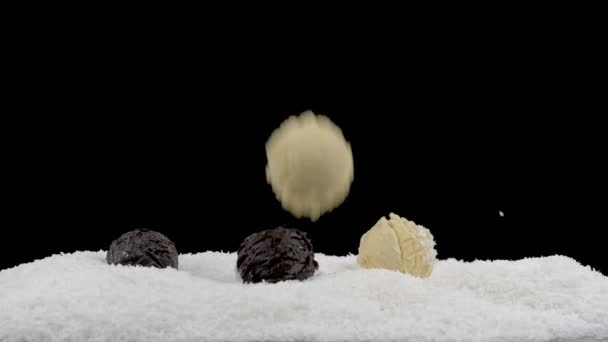 Chocolate truffles falling in coconut flakes on black — Stock Video