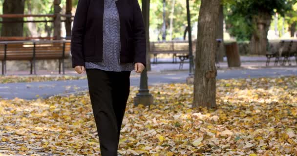 Старшая Женщина Гуляющая Осеннем Парке Испытывающая Боль Колене Артрит Болевой — стоковое видео