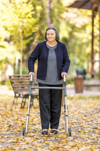 Mulher com caminhante andando ao ar livre no parque de outono — Fotografia de Stock