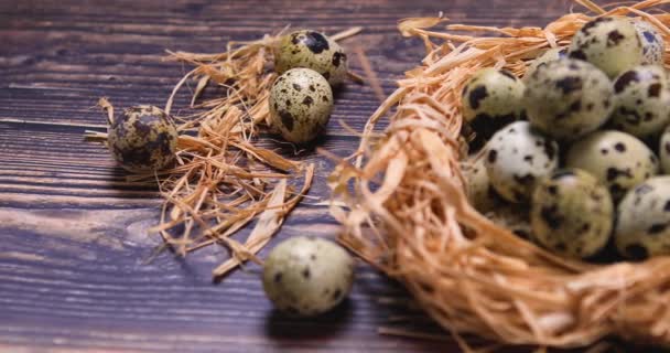 Organic Quail Eggs Nest Wood Healthy Food Concept Dolly Shot — Stock Video
