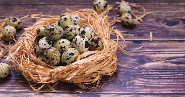 Organic Quail Eggs Nest Wood Healthy Food Concept Dolly Shot — Stock Video