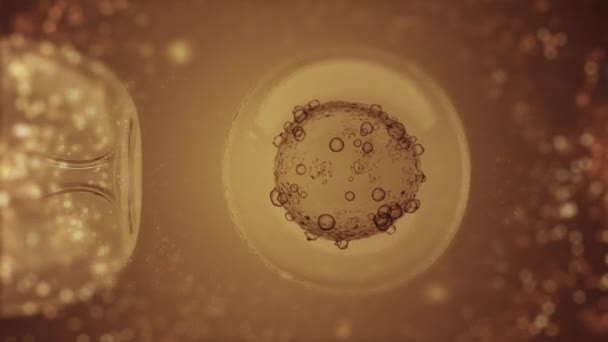 体外受精で金の顕微鏡を通して体外受精 女性の卵 卵子または受精卵の人工授精の科学的な医療3Dレンダリング — ストック動画