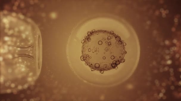 Ivf Vitro Befruktning Genom Ett Mikroskop Guld Vetenskaplig Medicinsk Återgivning — Stockvideo